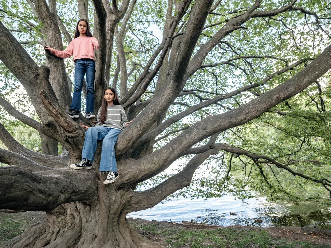 Elle organise des concerts en forêt pour sensibiliser à leur protection