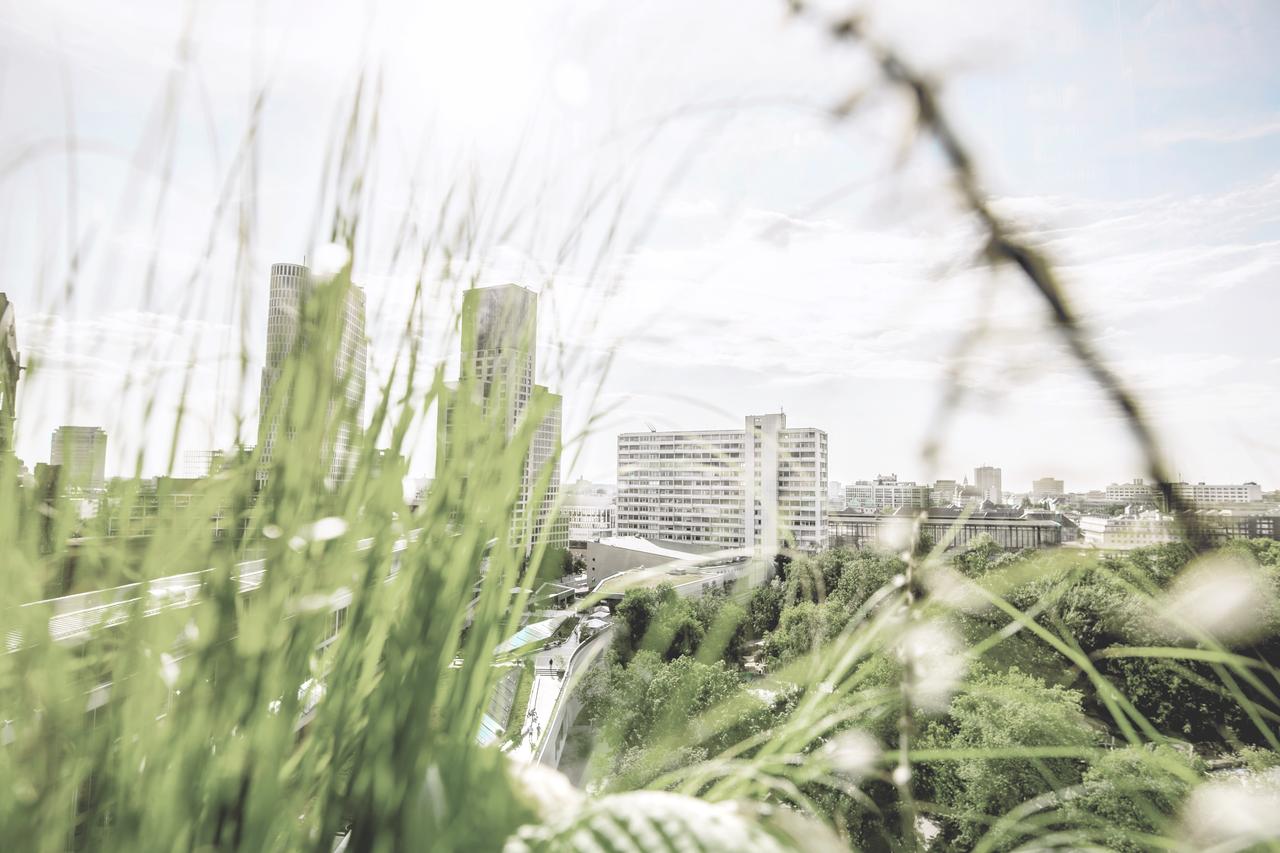 un potager en ville