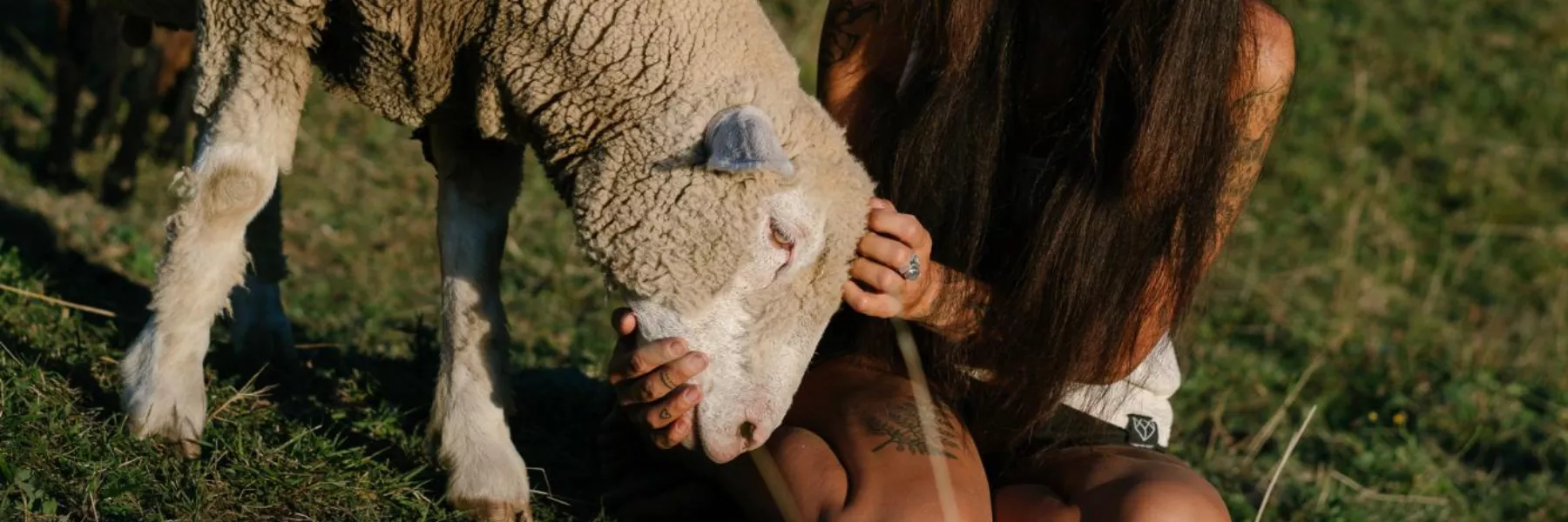mouton et femme