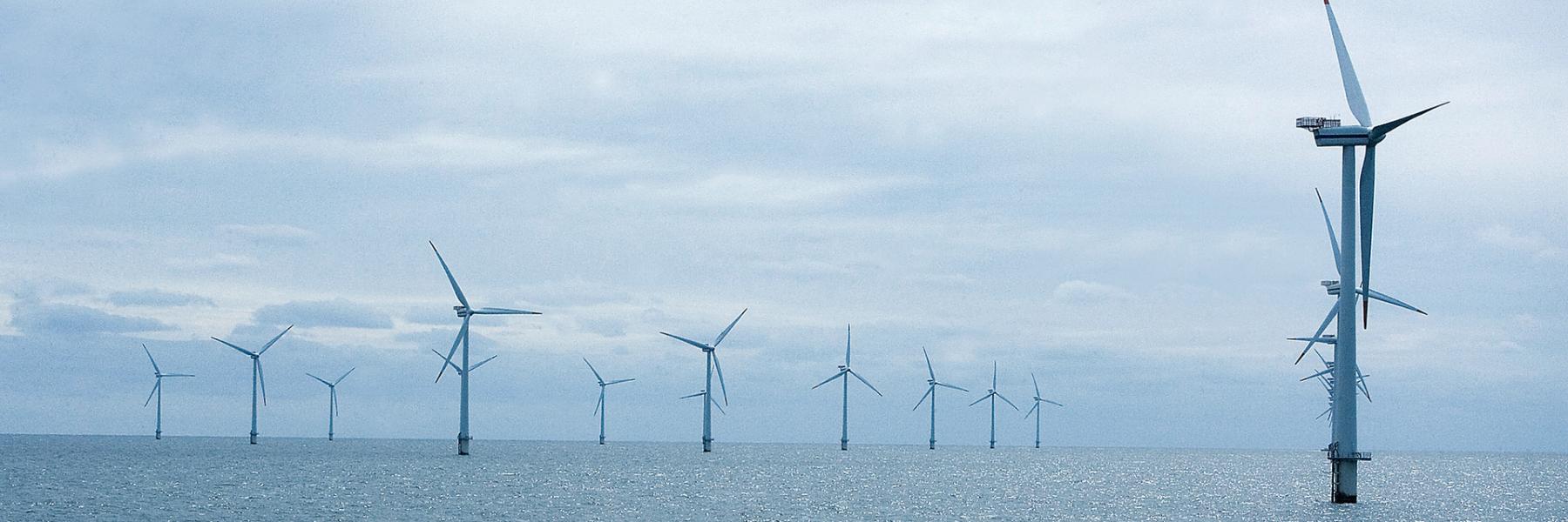 eolienne offshore
