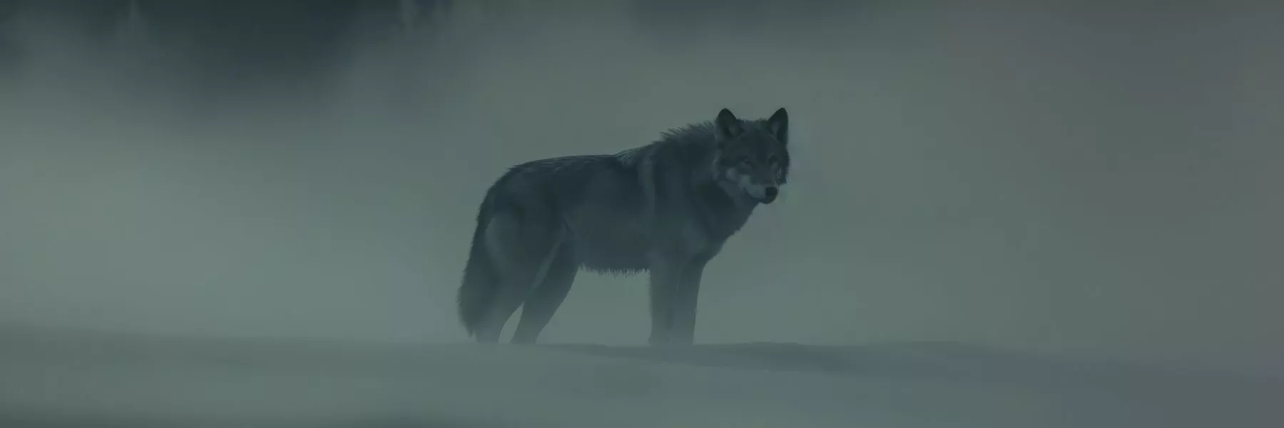 loup géant