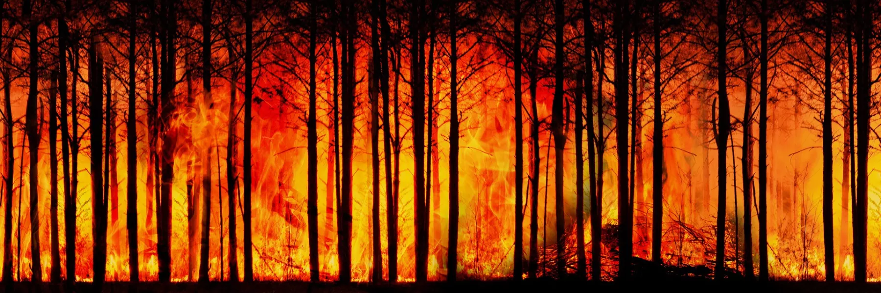 Incendies en Europe : comprendre les causes et les conséquences de ce fléau
