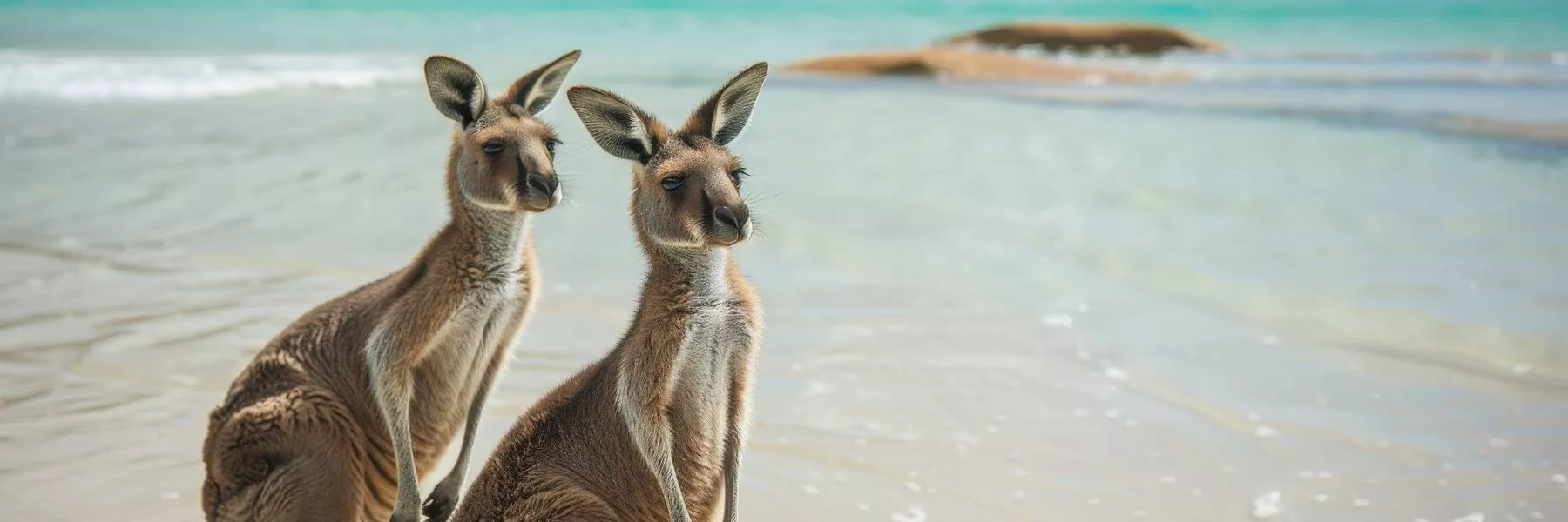 L’Australie promet trois heures d’électricité solaire gratuite par jour