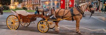 caleche malaga