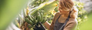 Ils transforment des déchets de bananiers en jeans