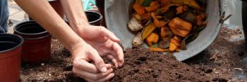 Compostage obligatoire : un an après, comment s’organiser en ville comme à la campagne ?
