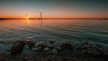 Ce que l'on sait vraiment des effets de l'éolien en mer sur la biodiversité