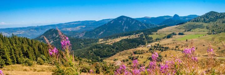 La région Auvergne-Rhône-Alpes boycotte les produits du Mercosur dans les cantines