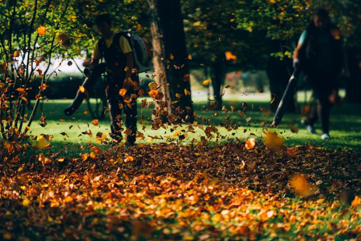 Voici pourquoi il ne faut pas trop nettoyer son jardin en automne